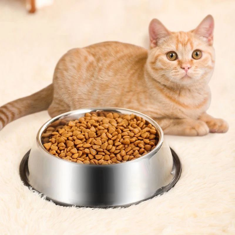 Futternapf aus Edelstahl – Rutschhemmender Napf mit Ameisenschutzform für Hunde & Katzen, in 6 Größen Erhältlich
