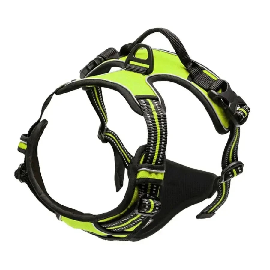 Hunde-Halsband, Geschirr und Leinen-Set in Lederoptik – Verstellbares Spaziergang-Set für Kleine und Mittelgroße Hunde und Welpen