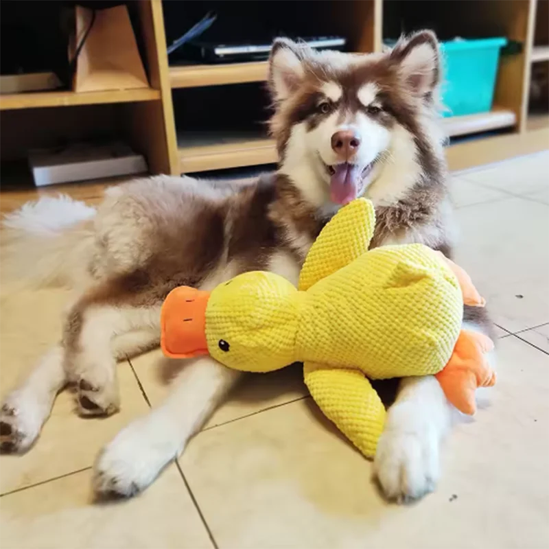 Gelbes Enten-Plüschspielzeug zum Kuscheln für Hunde – Weicher Interaktiver Schlafbegleiter & Kuschelpuppe für Welpen und Hunde