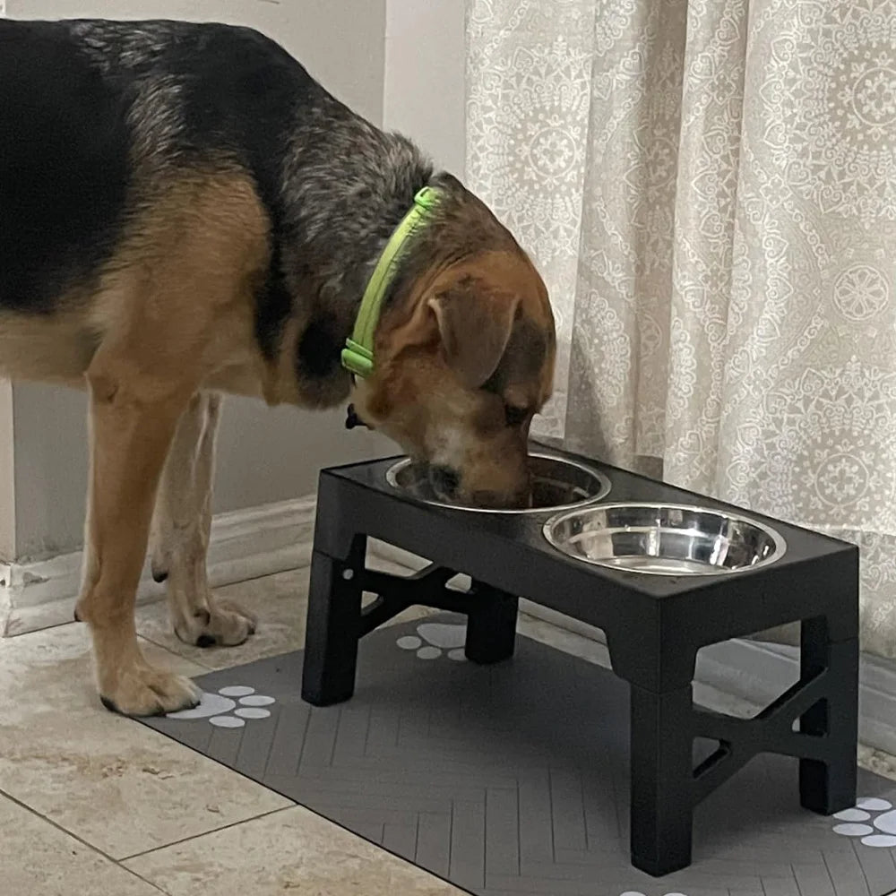 Höhenverstellbare Erhöhte Futterstation – Ständer mit Zwei Edelstahlnäpfen für Futter & Wasser für Kleine, Mittelgroße und Große Hunde
