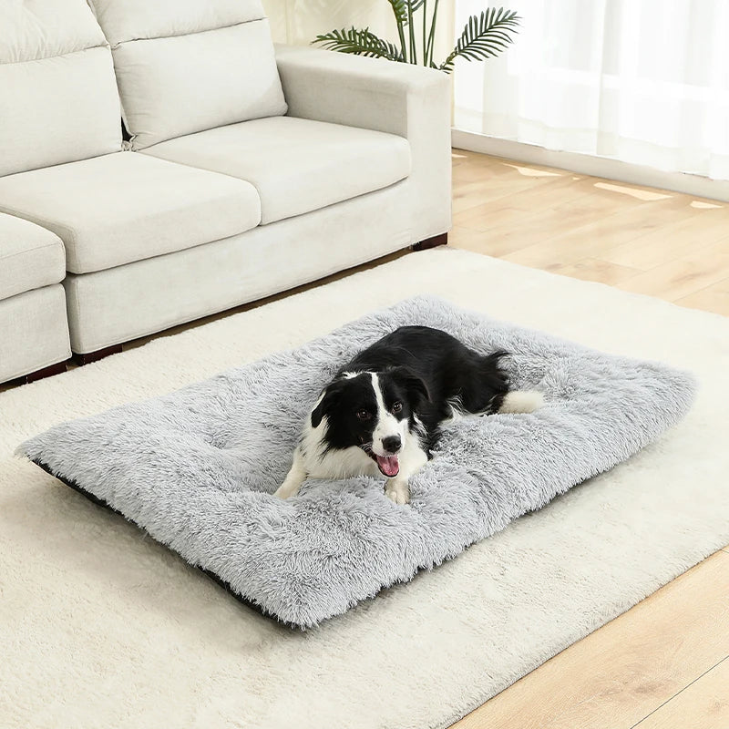 Weiches Langplüsch Hundebett & Haustier Schlafsofa – Gemütliches Korb-Kissen und Katzenbett für Kleine Mittlere Große Hunde, Welpen & Katzen