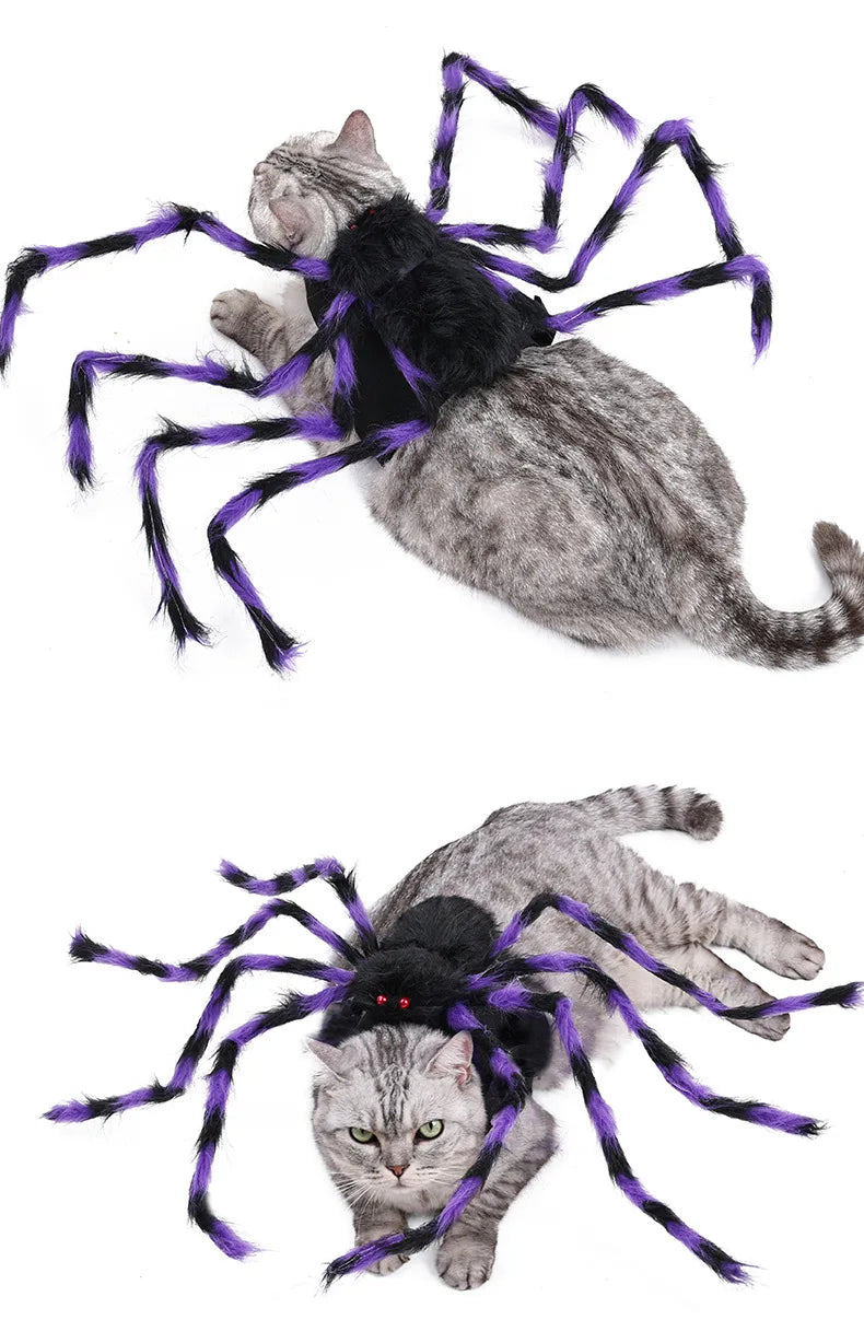 Lustiges Spinnenkostüm für Haustiere – Halloween-Cosplay-Outfit für Kleine & Mittelgroße Hunde & Katzen