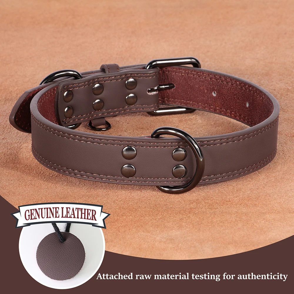 Hundehalsband aus Echtem Leder – Weiches Robustes Halsband für Kleine, Mittelgroße & Große Hunde und Deutsche Schäferhunde