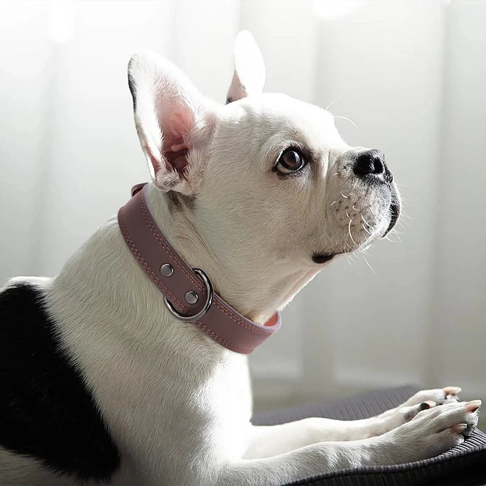 Hundehalsband aus Echtem Leder – Weiches Robustes Halsband für Kleine, Mittelgroße & Große Hunde und Deutsche Schäferhunde