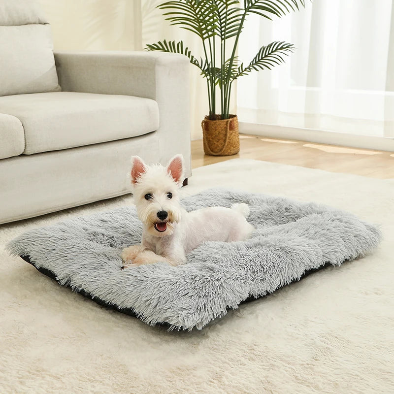 Weiches Langplüsch Hundebett & Haustier Schlafsofa – Gemütliches Korb-Kissen und Katzenbett für Kleine Mittlere Große Hunde, Welpen & Katzen