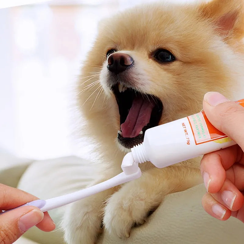 Mini-Zahnbürste für Haustiere – Weiche Zahnbürste zur Zahnreinigung für Hunde, Kaninchen & Kleine Haustiere