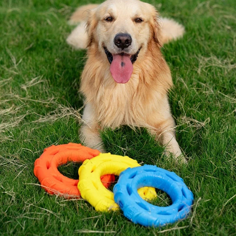 TPR-Schaumstoff Zugring für Hunde – Bissfestes Interaktives Kau- & Zerrspielzeug für Starke Kauer, Training und Spielzeit