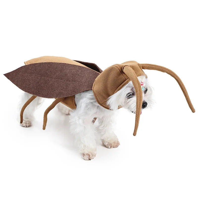 Lustiges Spinnenkostüm für Haustiere – Halloween-Cosplay-Outfit für Kleine & Mittelgroße Hunde & Katzen