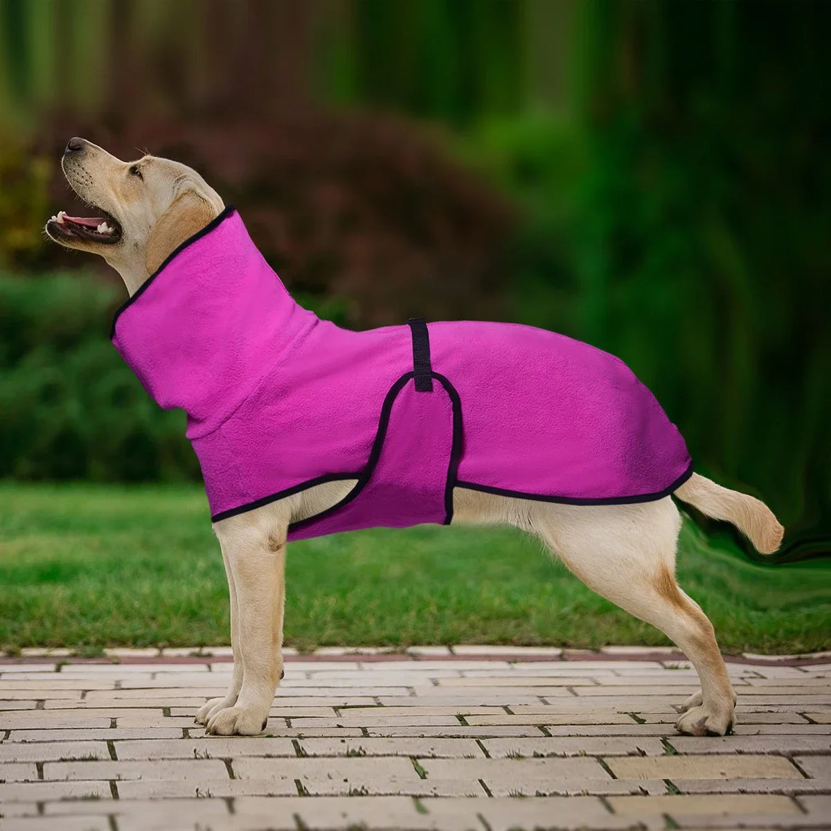 Warmer Wintermantel für Hunde – Gemütliche Haustierweste für Kleine, Mittelgroße & Große Hunde