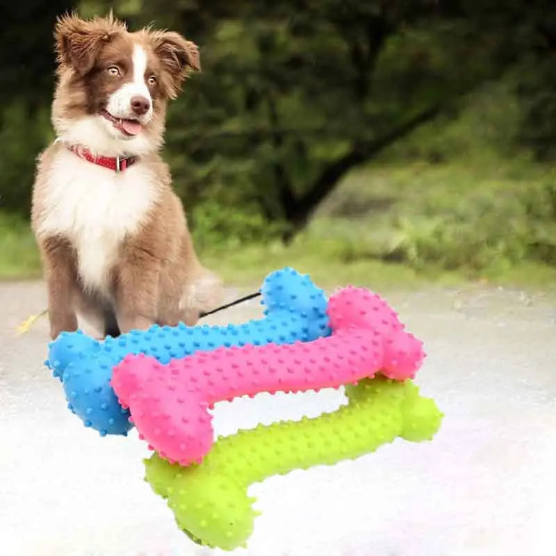 3-teiliges Gummi-Zahnbürsten-Kauspielzeug für Hunde – Knochenförmiger Zahnreinigungs-Kaustick & Trainingsspielzeug für Kleine Hunde und Welpen