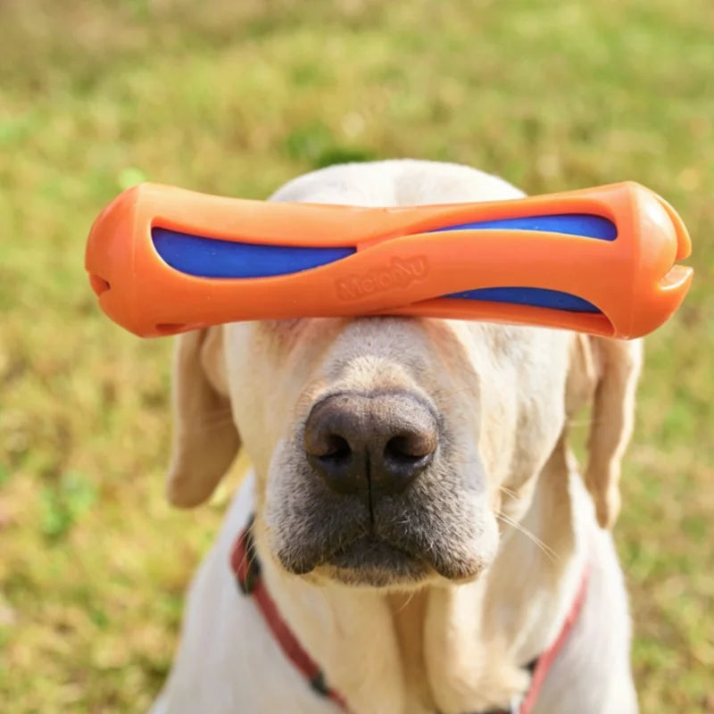 Schwimmendes Wasser-Stick Hundespielzeug – Bissfestes Apportier- & Trainingsspielzeug