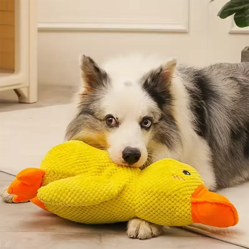 Gelbes Enten-Plüschspielzeug zum Kuscheln für Hunde – Weicher Interaktiver Schlafbegleiter & Kuschelpuppe für Welpen und Hunde