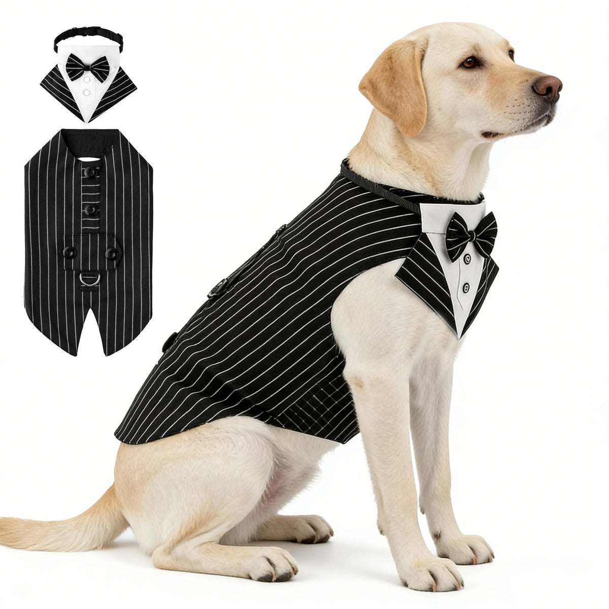 Formeller Hunde-Smoking mit Bandana – Eleganter Fliegen-Anzug für Hochzeit & Party