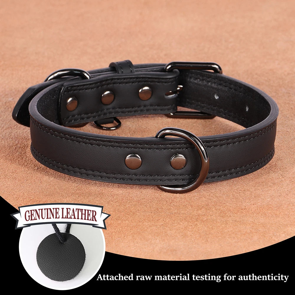 Hundehalsband aus Echtem Leder – Weiches Robustes Halsband für Kleine, Mittelgroße & Große Hunde und Deutsche Schäferhunde