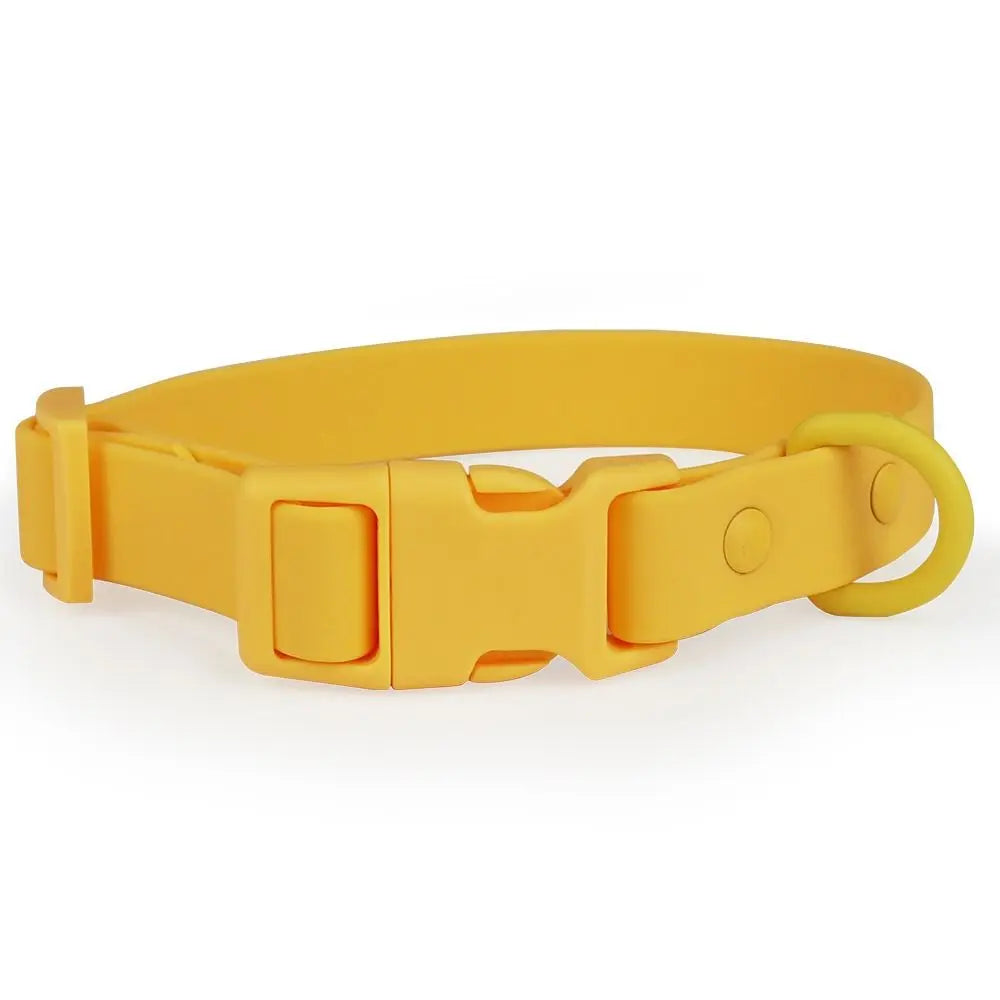 Elastisches Hundehalsband aus Gurtband – Verstellbares Wasserfestes Rostbeständiges Waschbares Halsband mit Sicherheitsverschluss