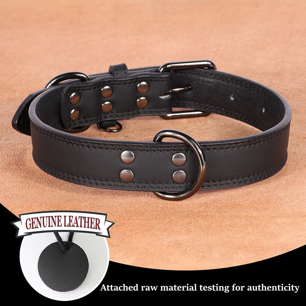 Hundehalsband aus Echtem Leder – Weiches Robustes Halsband für Kleine, Mittelgroße & Große Hunde und Deutsche Schäferhunde