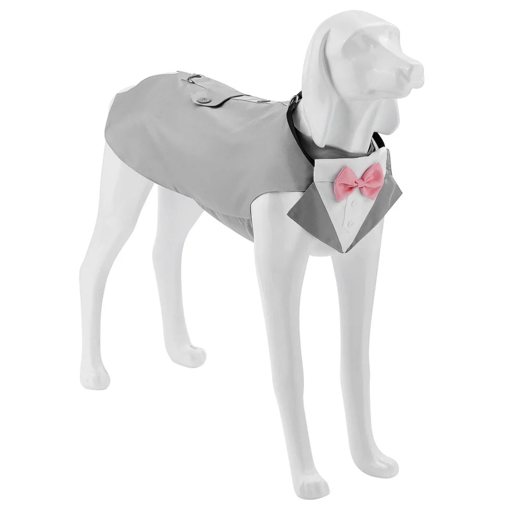 Formeller Hunde-Smoking mit Bandana – Eleganter Fliegen-Anzug für Hochzeit & Party
