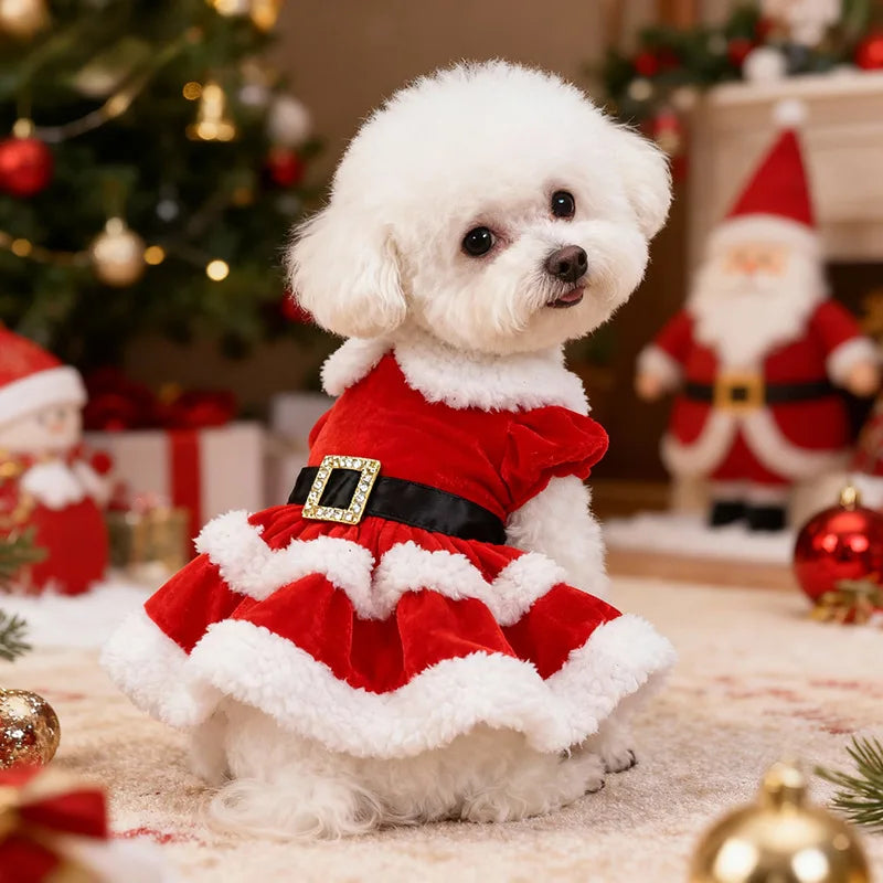Weihnachtsrock für Haustiere – Festliches Outfit für Hunde & Katzen