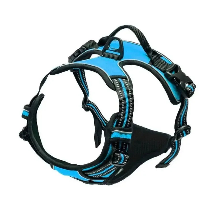 Hunde-Halsband, Geschirr und Leinen-Set in Lederoptik – Verstellbares Spaziergang-Set für Kleine und Mittelgroße Hunde und Welpen