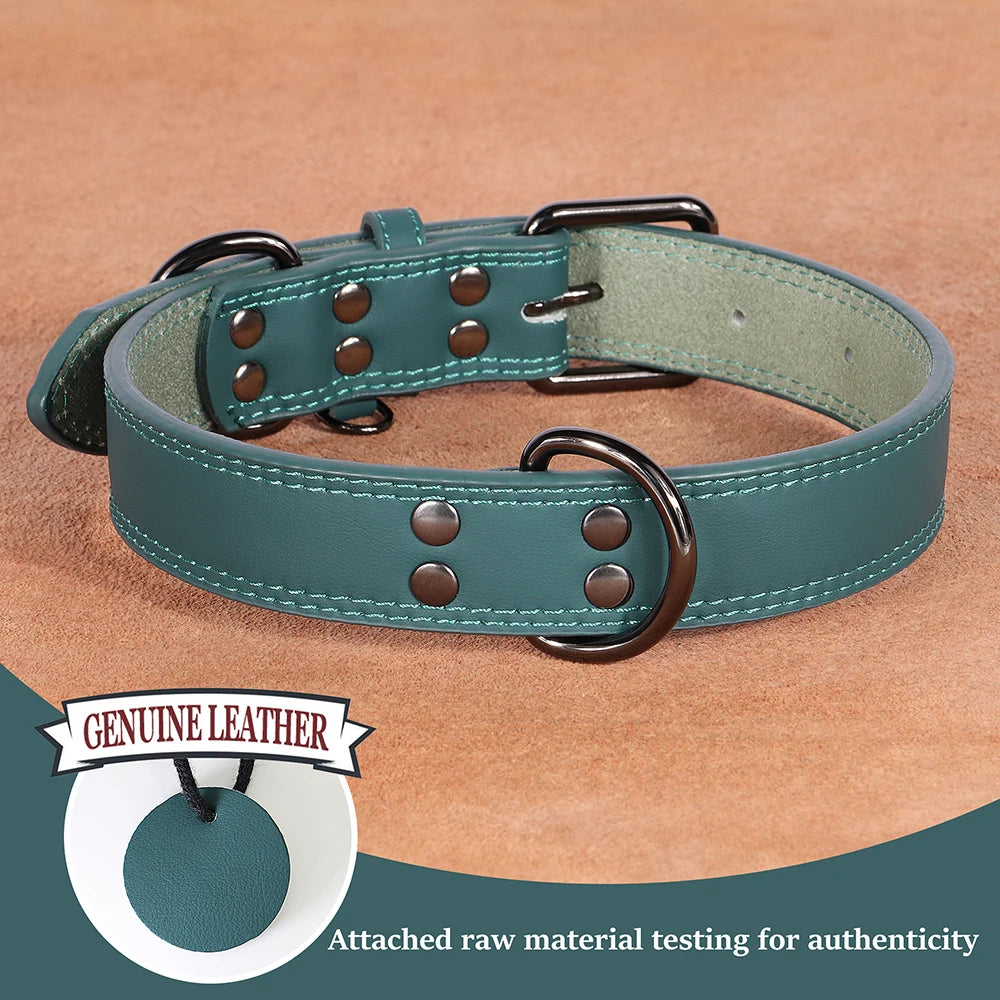 Hundehalsband aus Echtem Leder – Weiches Robustes Halsband für Kleine, Mittelgroße & Große Hunde und Deutsche Schäferhunde
