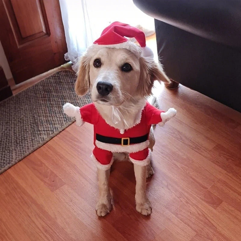 Weihnachtsmann-Overall für Kleine Hunde & Katzen – Süßes Weihnachts-Cosplay-Kostüm