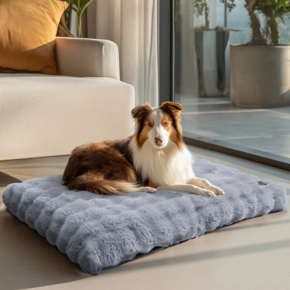 Ultra Plüsch Weiches Hundebett & Waschbares Haustierkissen – Gemütliche Welpenmatratze und Schlafmatte für Kleine Mittlere Große Hunde