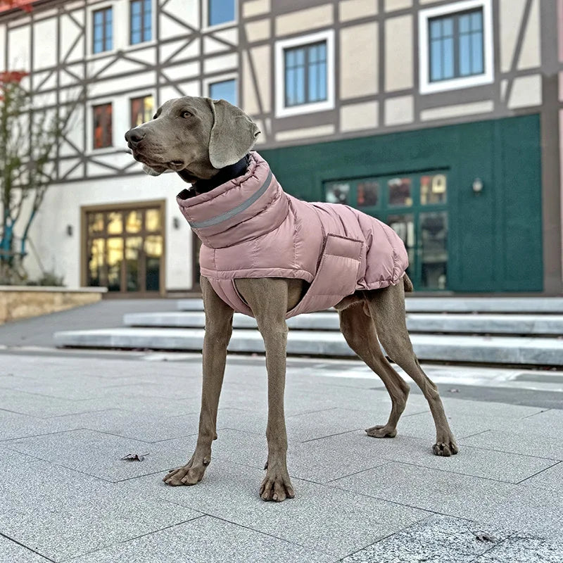 Warme Winter-Daunenweste für Hunde – Winddichte Jacke für Chihuahua & Französische Bulldogge