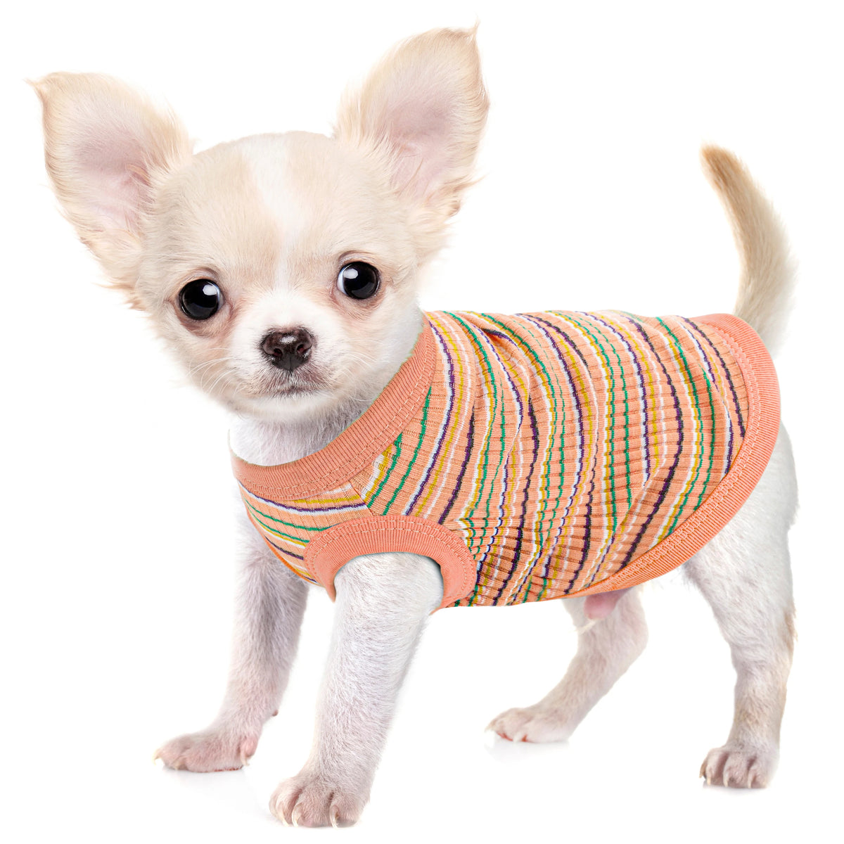 Rosa Geripptes Hunde-Tanktop – Weiches Ärmelloses Shirt für Kleine Hunde & Chihuahuas