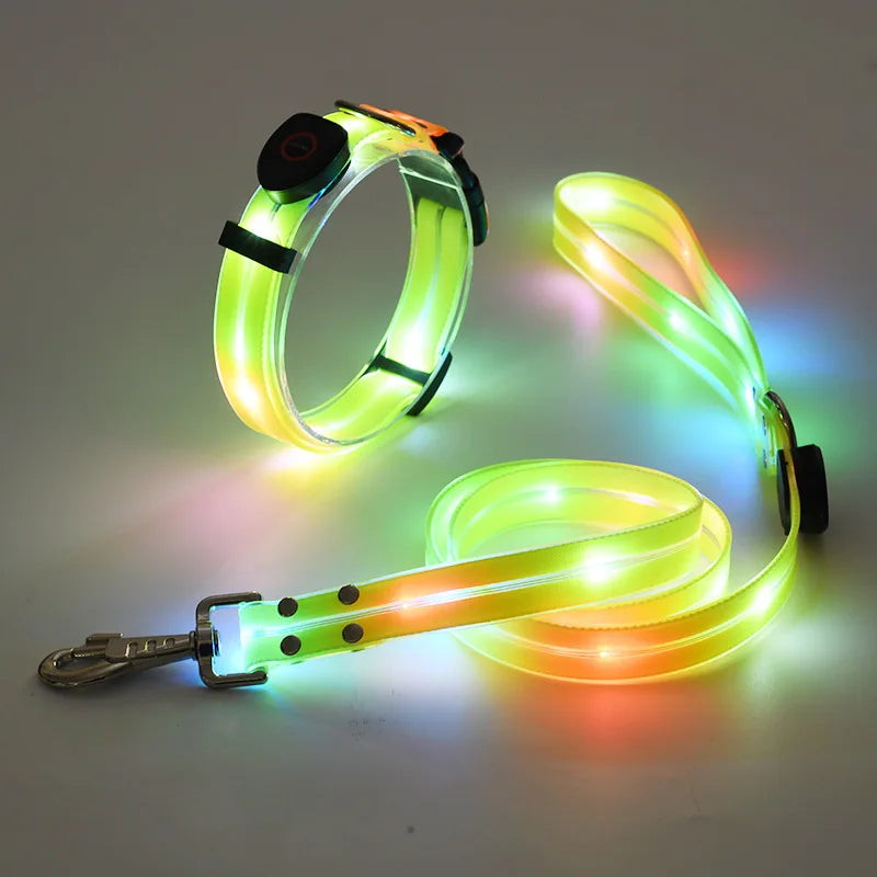 Leuchtendes Hundehalsband mit Leine – Wiederaufladbares Blinkendes Halsband mit Verstellbarer Passform für Spaziergänge