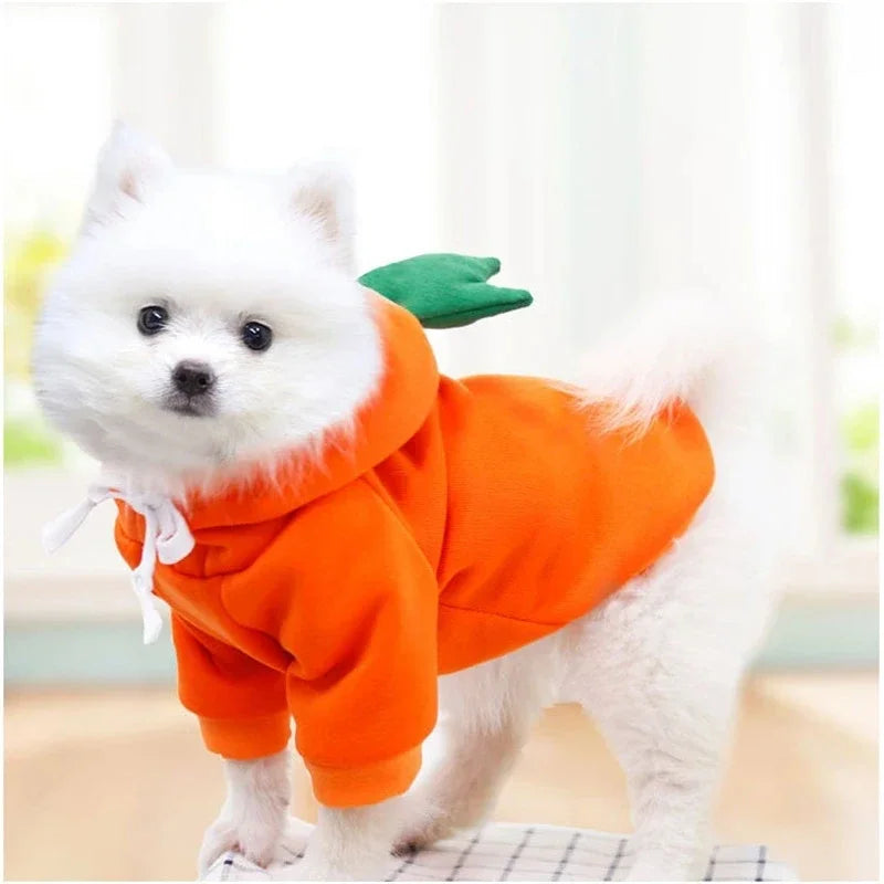 Süßer Früchte-Hundehoodie – Warme Fleece-Kostümjacke für Kleine Hunde, Welpen & Katzen