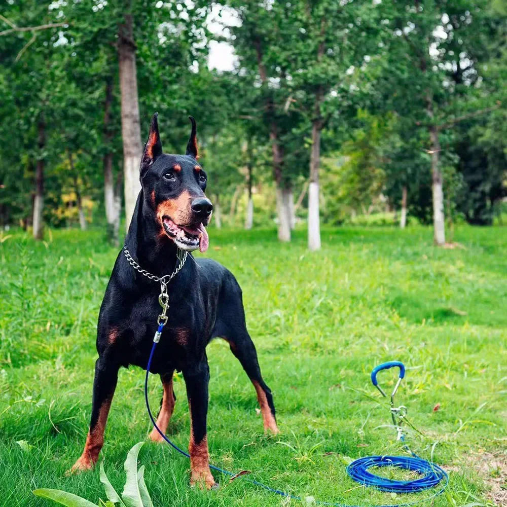 P-Schlangenkette-Hundehalsband aus Edelstahl – Verstellbares Zug-Trainingshalsband für Bulldoggen, Mittelgroße & Große Hunde