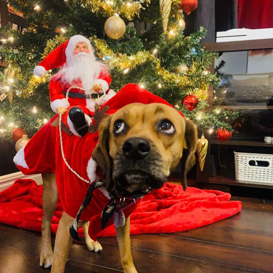 Lustiger Weihnachtsmann-Hundeumhang – Warmes Weihnachts-Cosplay-Kostüm für Kleine & Mittelgroße Hunde & Katzen