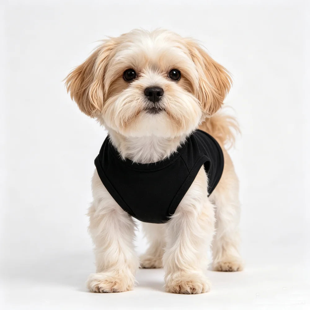 SECURITY Hunde- & Katzen-Sommerweste – Strukturiertes T-Shirt für Chihuahua, Yorkie & Kleine Haustiere