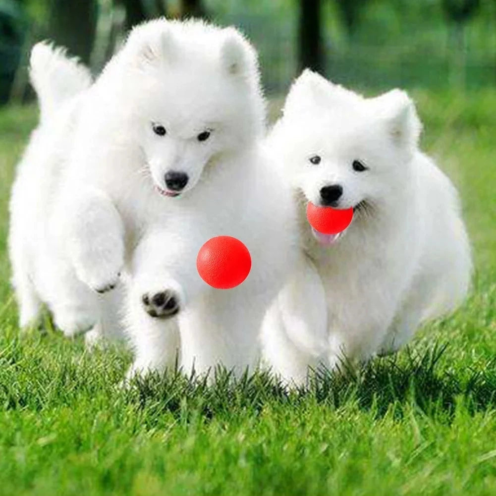 Robuster Vollgummi-Hundeball – Strapazierfähiges Kau-, Apportier- & Trainingsspielzeug für Welpen, Mittelgroße und Große Hunde