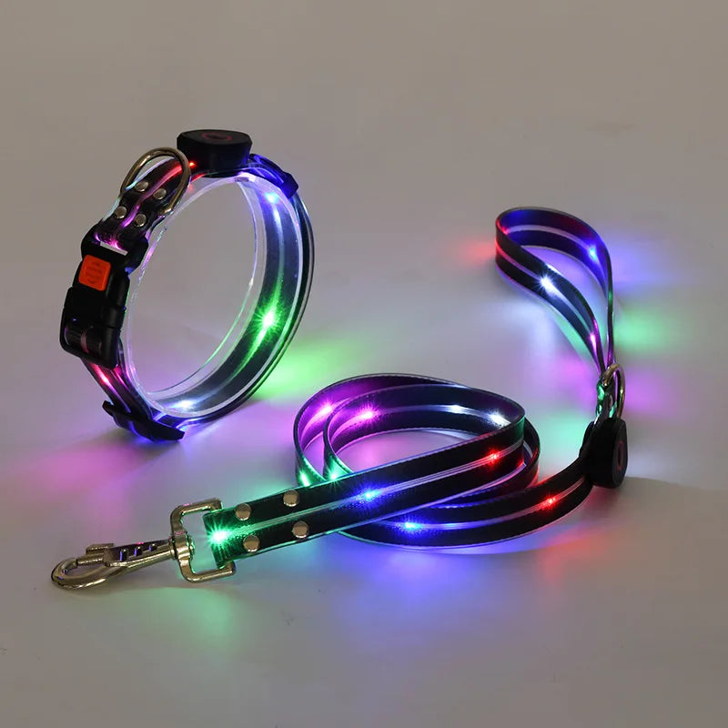 Leuchtendes Hundehalsband mit Leine – Wiederaufladbares Blinkendes Halsband mit Verstellbarer Passform für Spaziergänge
