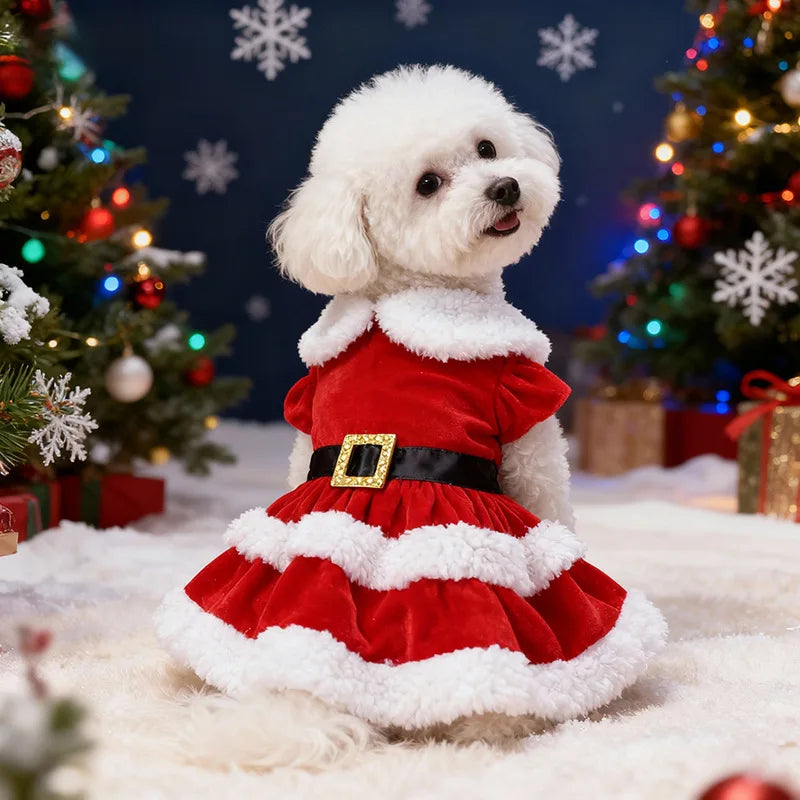 Weihnachtsrock für Haustiere – Festliches Outfit für Hunde & Katzen