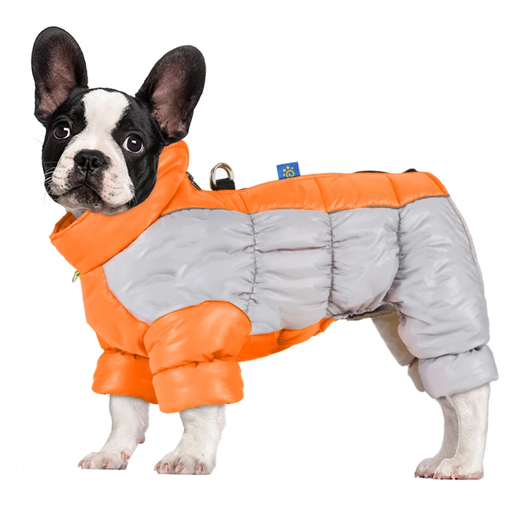 Wasserdichter Dicker Baumwoll-Hundemantel – Extra Warme Winterjacke für Französische Bulldoggen & Kleine Hunde