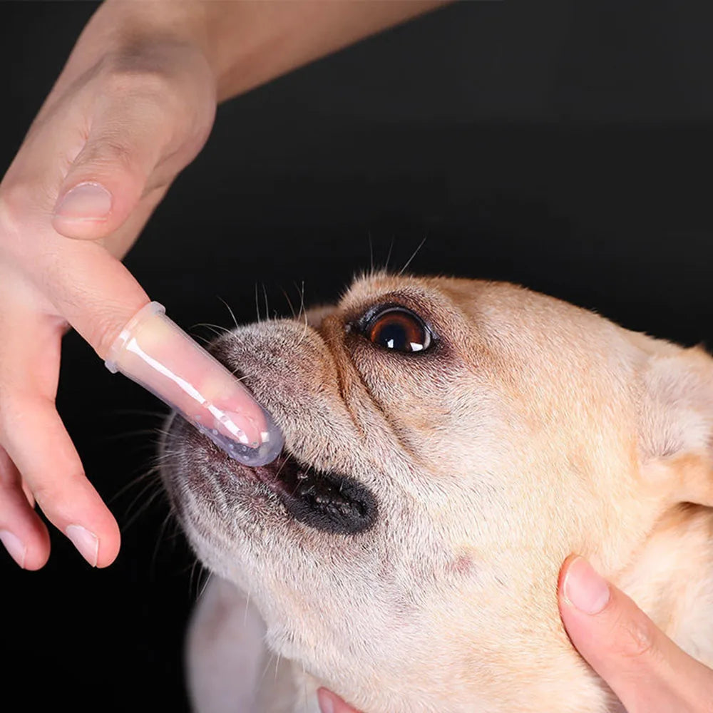 Weiche Silikon-Fingerzahnbürste für Hunde – Zahnpflegebürste zur Reinigung für Kleine & Große Hunde