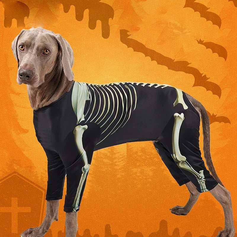 Skelett-Halloween-Kostüm für Hunde – Cooles Verwandlungs-Outfit für Große Hunde