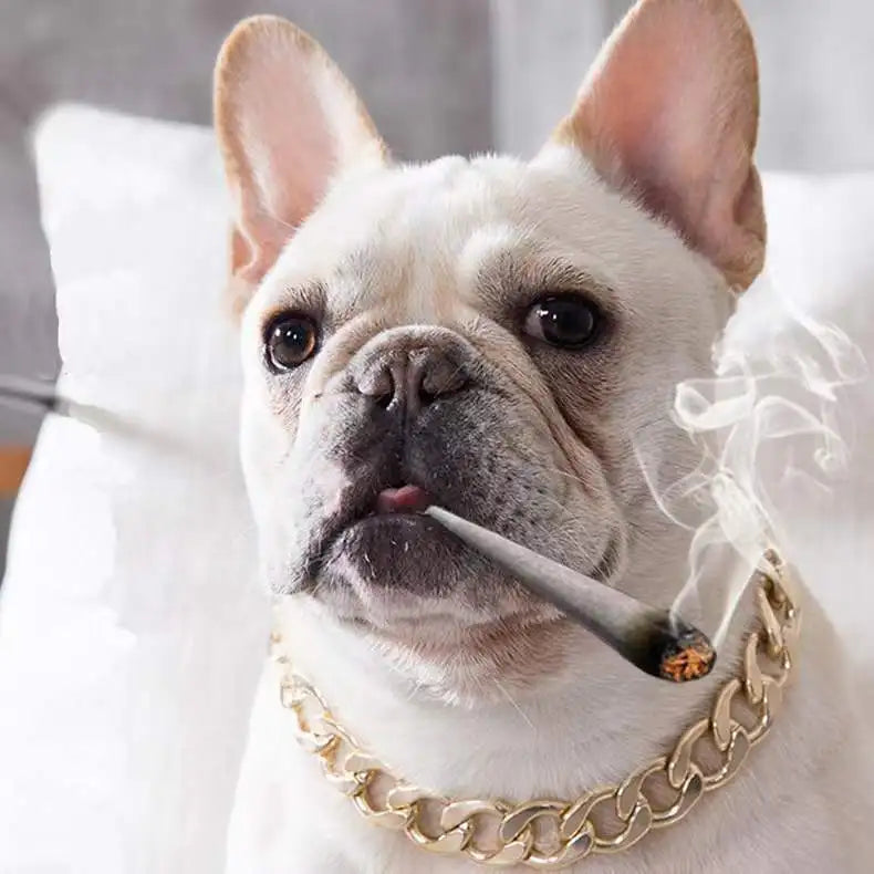 Luxuriöses Goldenes Metall-Hundehalsband – Auffälliges Kettenhalsband für Pitbulls, Bulldoggen, Teddybär-Hunde & Französische Bulldoggen