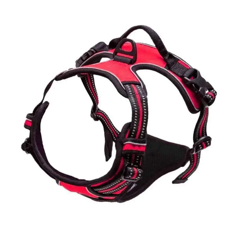 Hunde-Halsband, Geschirr und Leinen-Set in Lederoptik – Verstellbares Spaziergang-Set für Kleine und Mittelgroße Hunde und Welpen