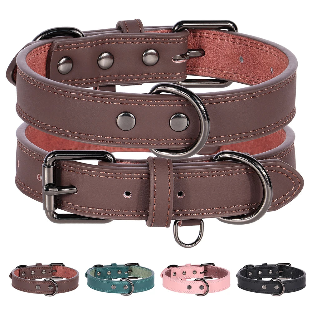 Hundehalsband aus Echtem Leder – Weiches Robustes Halsband für Kleine, Mittelgroße & Große Hunde und Deutsche Schäferhunde