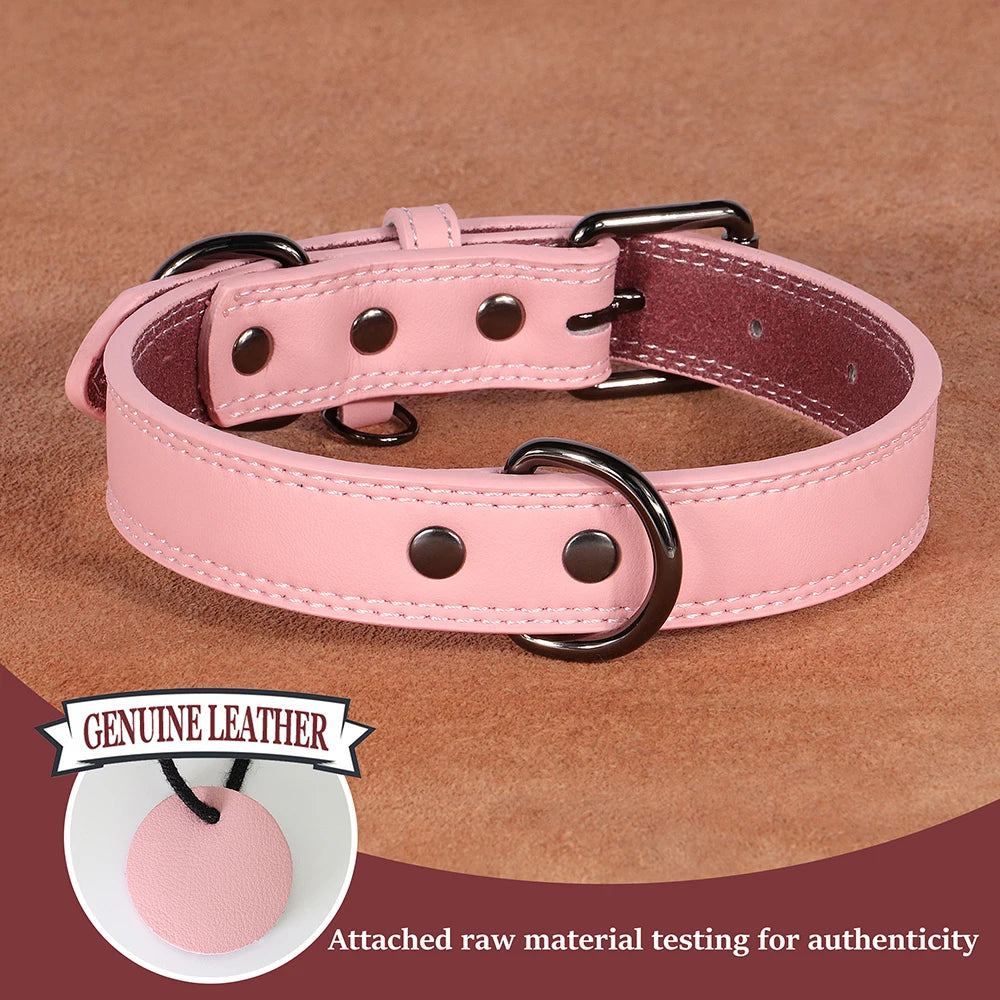 Hundehalsband aus Echtem Leder – Weiches Robustes Halsband für Kleine, Mittelgroße & Große Hunde und Deutsche Schäferhunde