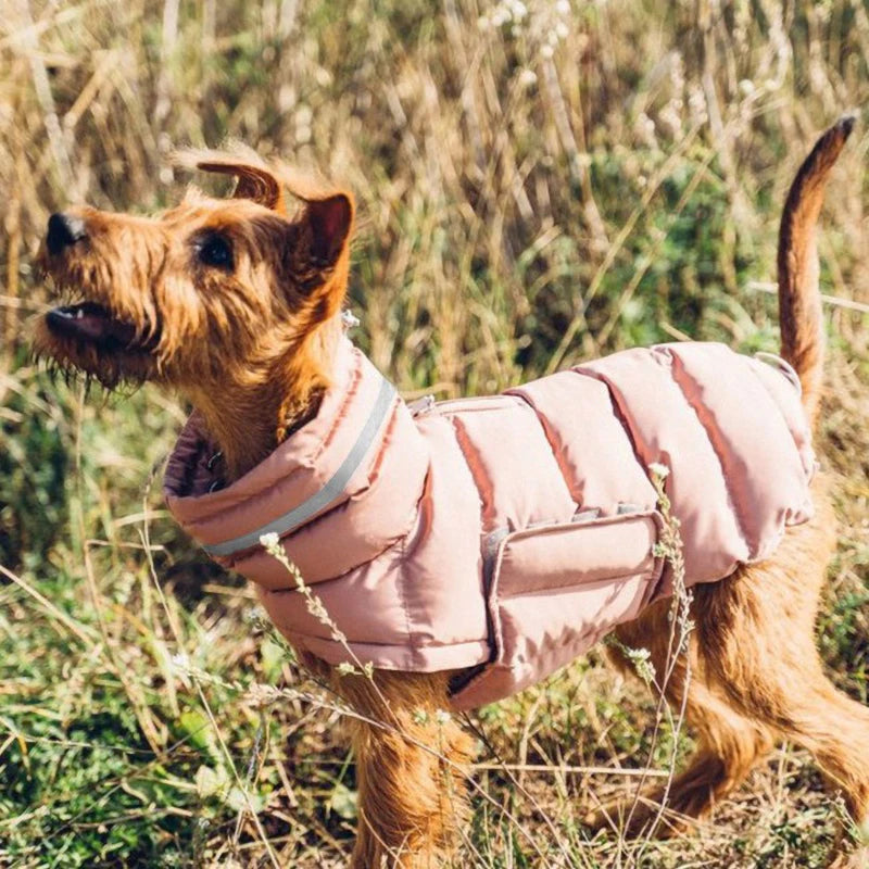 Warme Winter-Daunenweste für Hunde – Winddichte Jacke für Chihuahua & Französische Bulldogge