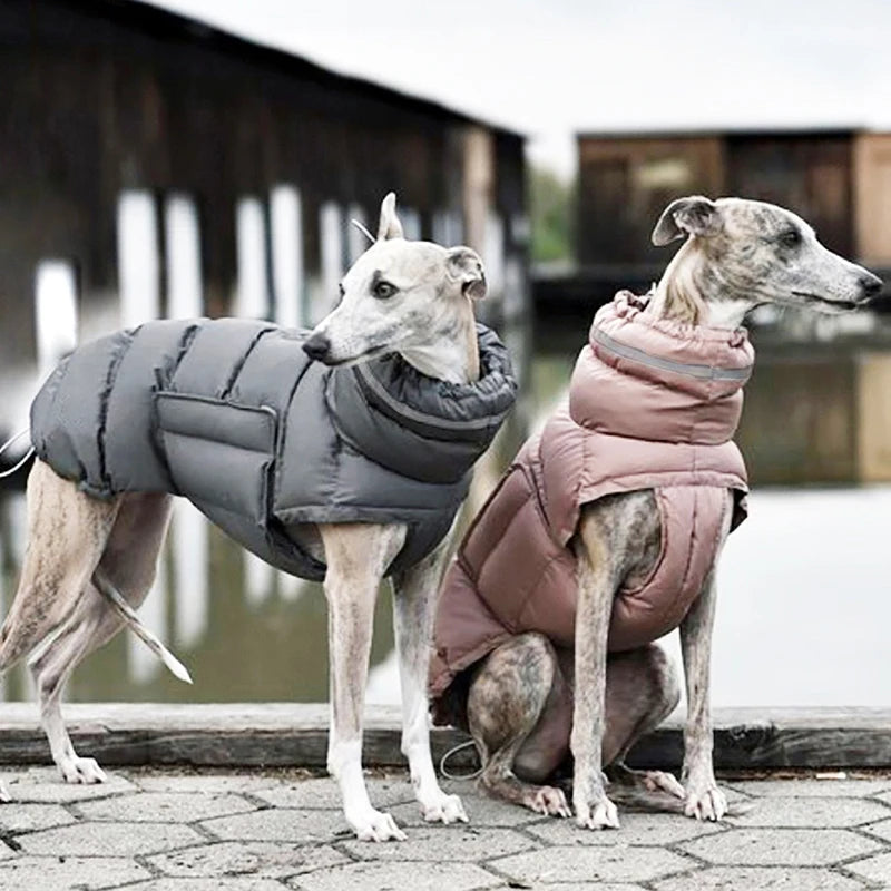 Warme Winter-Daunenweste für Hunde – Winddichte Jacke für Chihuahua & Französische Bulldogge