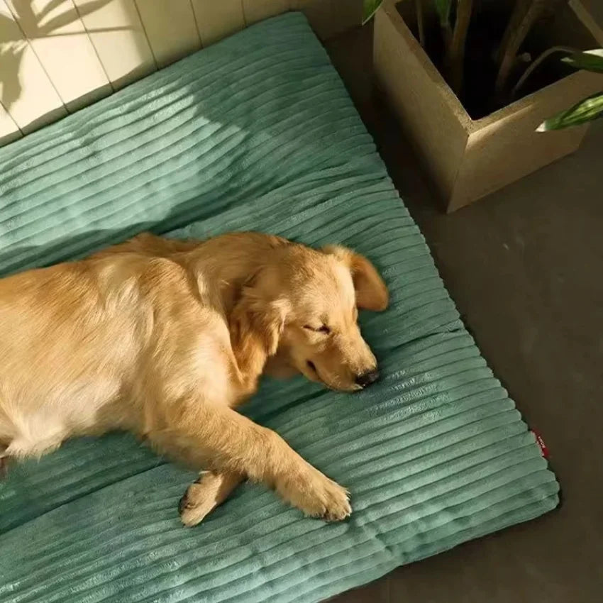 Warmes Cord Hundebett mit Abnehmbarem Kissen – Weiche Gemütliche Winter Schlafmatte für Kleine Mittlere Große Hunde & Welpen