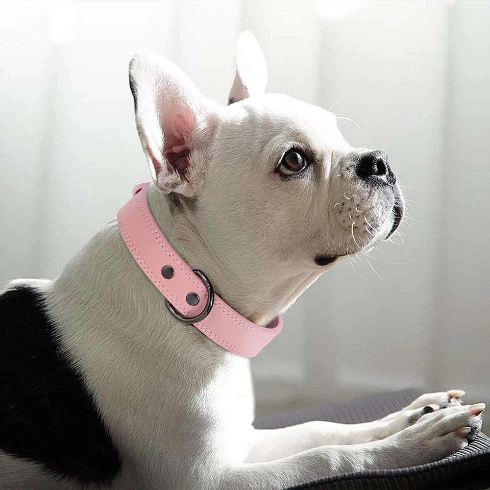 Hundehalsband aus Echtem Leder – Weiches Robustes Halsband für Kleine, Mittelgroße & Große Hunde und Deutsche Schäferhunde