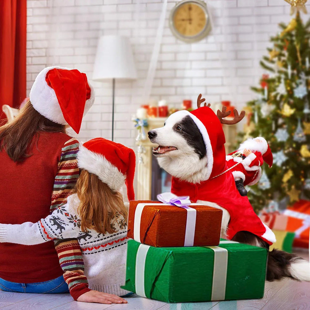 Lustiger Weihnachtsmann-Hundeumhang – Warmes Weihnachts-Cosplay-Kostüm für Kleine & Mittelgroße Hunde & Katzen