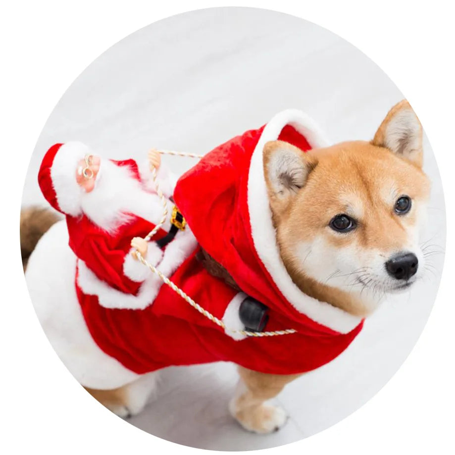Lustiger Weihnachtsmann-Hundeumhang – Warmes Weihnachts-Cosplay-Kostüm für Kleine & Mittelgroße Hunde & Katzen