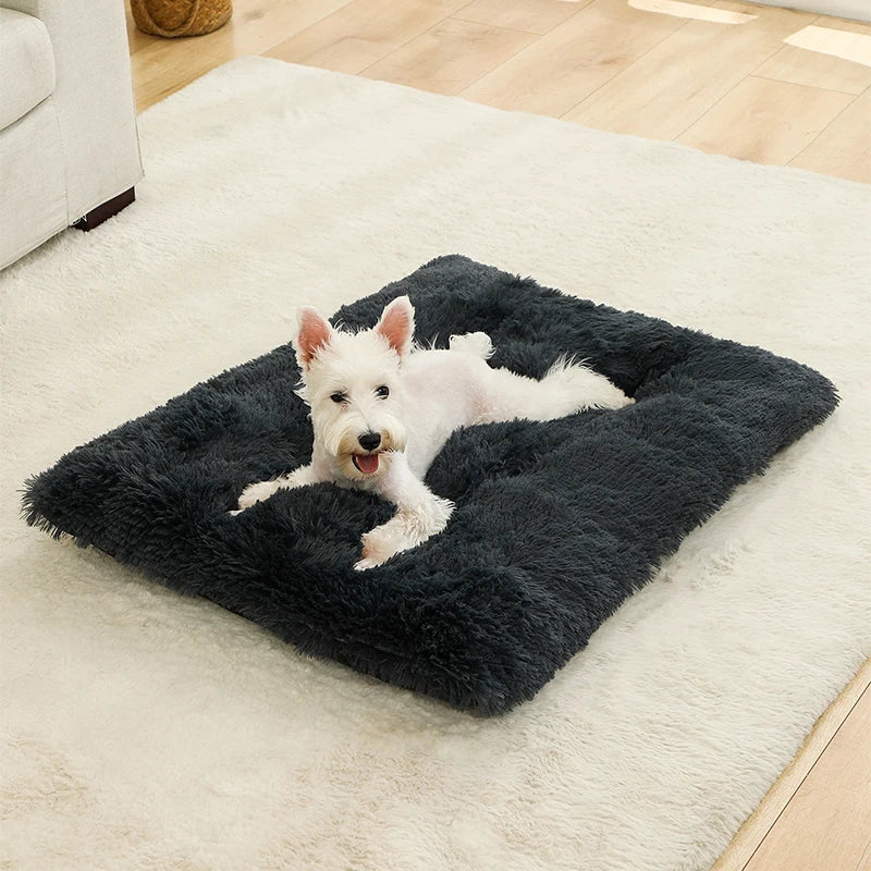 Weiches Langplüsch Hundebett & Haustier Schlafsofa – Gemütliches Korb-Kissen und Katzenbett für Kleine Mittlere Große Hunde, Welpen & Katzen
